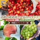 【定期便3回】山形の産直所で人気のベスト3!【季節のファミリー便】 FY25-223