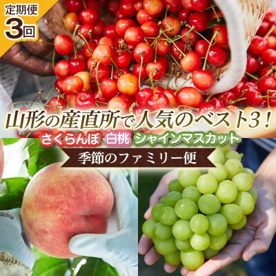 【定期便3回】山形の産直所で人気のベスト3!【季節のファミリー便】 FZ25-223
