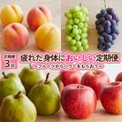 【定期便3回】疲れた身体においしい定期便　～フルーツからパワーをもらおう～ FY25-253