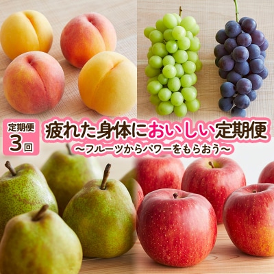 【定期便3回】疲れた身体においしい定期便　～フルーツからパワーをもらおう～ FY25-253