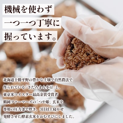 冷凍 酵素玄米おむすび(つや姫) 10個セット FY25-270