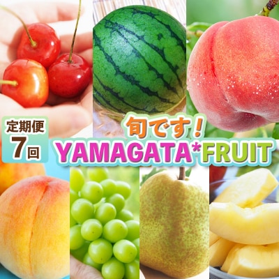 【定期便7回】旬です!YAMAGATA*FRUIT FY25-285