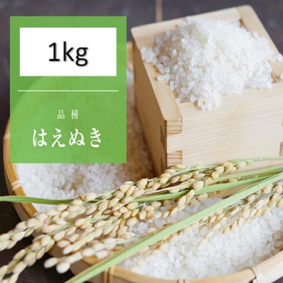 【令和7年産新米】 天日干しの手間 (新米はえぬき) 丹野さん家の 精米 1kg FY25-333