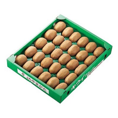 山形市産キウイフルーツ 3.6kg(27～33玉)1月お届け FZ26-830
