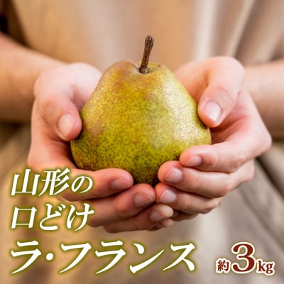 山形の口どけラ・フランス 秀品 約3kg FY24-011