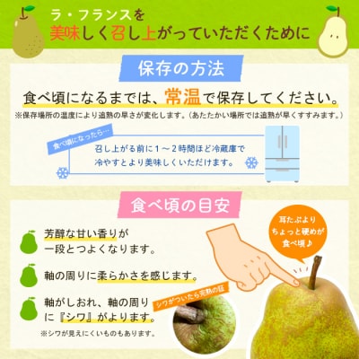 山形の口どけラ・フランス 秀品 約3kg FY24-011