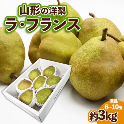 山形の洋梨ラフランス 秀品 約3kg (6～10玉)【令和8年産】FS25-736