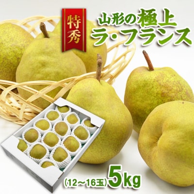 【特秀】山形の極上 ラフランス 特秀品 約5kg(12～16玉)[12月お届け] FZ23-313