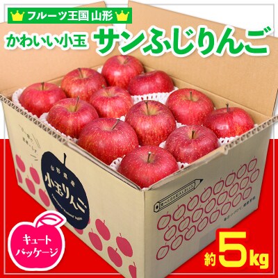 ☆フルーツ王国山形☆小玉サンふじりんご 5kg 24玉 キュートパッケージ FZ26-807