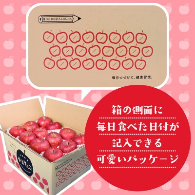 ☆フルーツ王国山形☆小玉サンふじりんご 5kg 24玉 キュートパッケージ FZ26-807