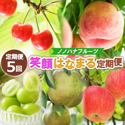 【定期便5回】ノノハナフルーツ 笑顔はなまる定期便 FY25-329