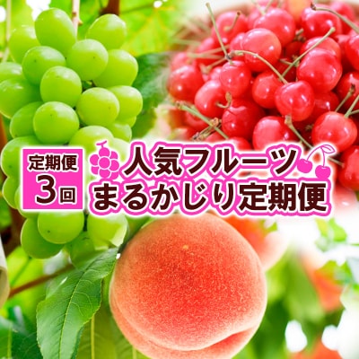 【定期便3回】人気フルーツ まるかじり定期便 FZ25-726