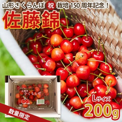 栽培150周年!佐藤錦 200g L玉 数量限定!【令和8年産先行予約】FS25-060