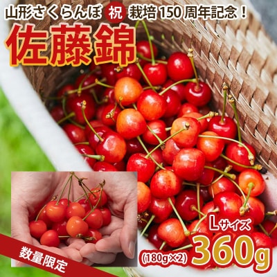 栽培150周年!佐藤錦 360g L玉 数量限定!【令和8年産先行予約】FS25-061