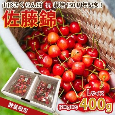栽培150周年!佐藤錦 400g L玉 数量限定!【令和8年産先行予約】FS25-067
