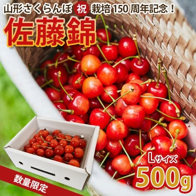 栽培150周年!佐藤錦 500g L玉 数量限定!【令和8年産先行予約】FS25-068