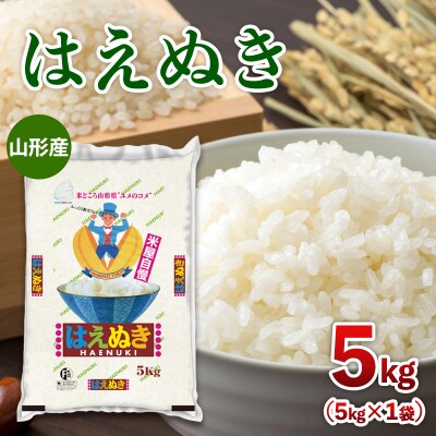 山形産 はえぬき 5kg FZ26-903