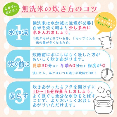 山形産 【無洗米】 特別栽培米 つや姫 5kg FZ26-904