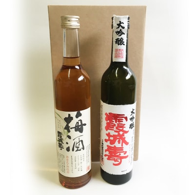 霞城寿 大吟醸・梅酒 500ml×2本セット[種友酒店] FZ24-025