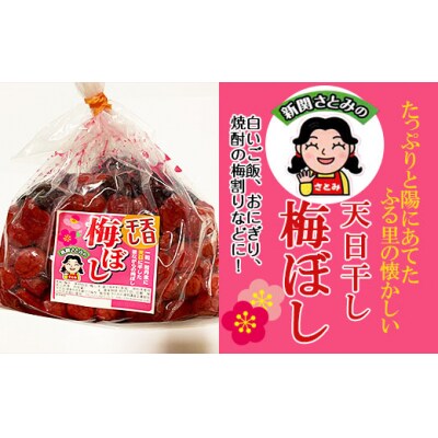[2025年10月～発送] ふる里の懐かしい「天日干し梅ぼし」1.2kg FY25-805 
