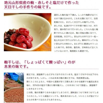 [2025年10月～発送] ふる里の懐かしい「天日干し梅ぼし」1.2kg FY25-805 