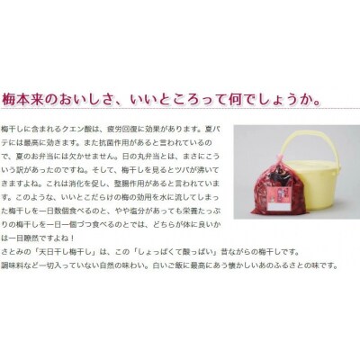 [2025年10月～発送] ふる里の懐かしい「天日干し梅ぼし」1.2kg FY25-805 