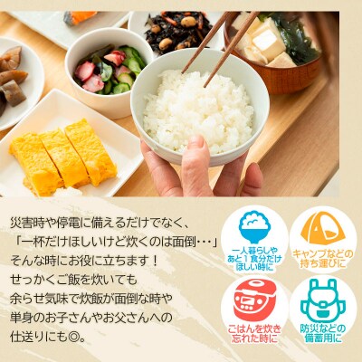 【令和7年産】山形産 はえぬき パックライス 180g×24パック  FZ25-305