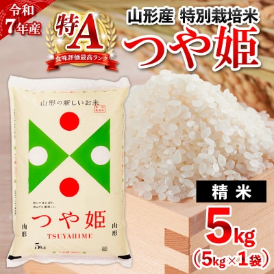 【1月発送】令和7年産 山形産 特別栽培米 つや姫(白米) 5kg FY25-344