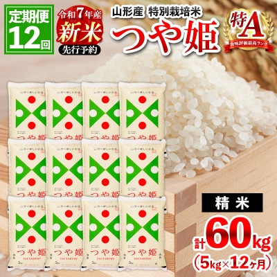 【1月開始】定期便12回 令和7年産 山形産 特別栽培米 つや姫 5kg×12 FZ25-095