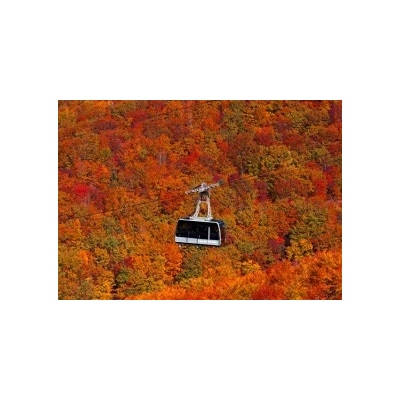 蔵王ロープウェイ乗車券(4区間券)引換券 FZ22-969 