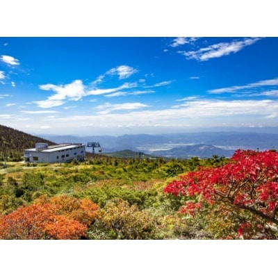 蔵王ロープウェイ乗車券(4区間券)引換券 FZ22-969 