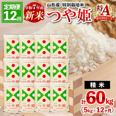 【2月開始】定期便12回 令和7年産  山形産 特別栽培米 つや姫 5kg×12 FY25-348