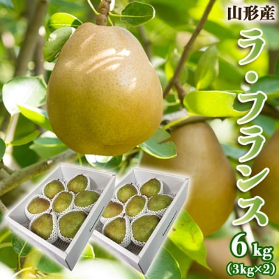 山形のラ・フランス 秀 約6kg(12～18玉・3L～6L)[12月発送]  FZ22-360
