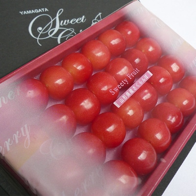 ̓  LTCY 200glyߘa8NYs\zFS24-678