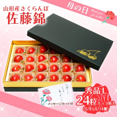 ̓  L 24yߘa8NYs\zFS25-545