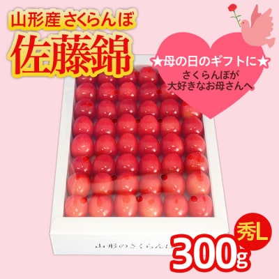 ★母の日★さくらんぼ 佐藤錦 Lサイズ 300g 手詰 【令和8年産先行予約】FS25-551