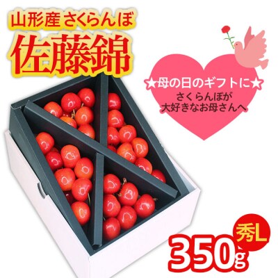 ★母の日★さくらんぼ 佐藤錦 Lサイズ 350g 【令和9年産先行予約】FS25-550