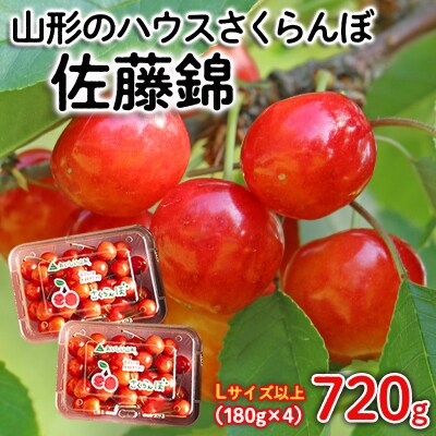 ハウスさくらんぼ 佐藤錦 720g(180g×4) L以上【令和9年産先行予約】FS25-510 
