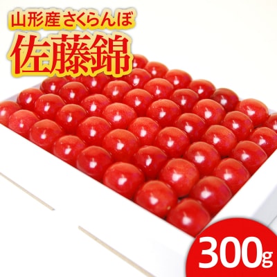 nEX   300g l LTCYȏ yߘa8NYs\zFS24-545