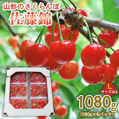 さくらんぼ 佐藤錦 1080g (180g×6) L以上 【令和9年産先行予約】FS25-514 