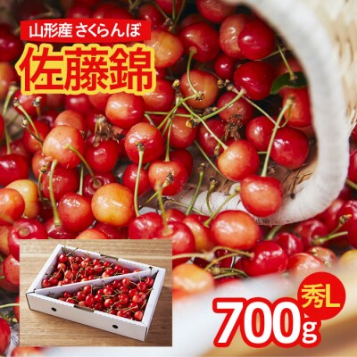 さくらんぼ 佐藤錦 農家オススメ!L玉 700g 【令和9年産先行予約】FS25-722 