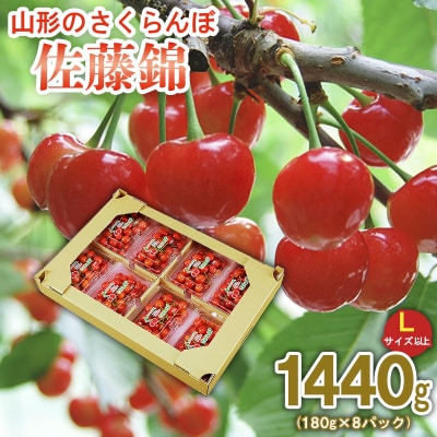 さくらんぼ佐藤錦  1440g (180g×8)Lサイズ以上【令和8年産先行予約】FS25-515