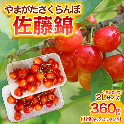 さくらんぼ 佐藤錦 ”希少な大粒” 2L 360g【令和8年産先行予約】FS25-573 