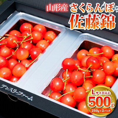 さくらんぼ 「佐藤錦」500g Lサイズ以上 山形産 【令和9年産先行予約】FS25-927