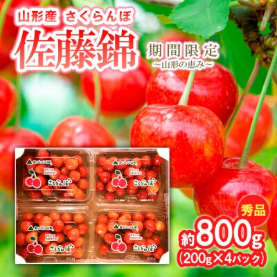 さくらんぼ 佐藤錦 約800g (200g×4) 期間限定【令和9年産先行予約】FS24-527