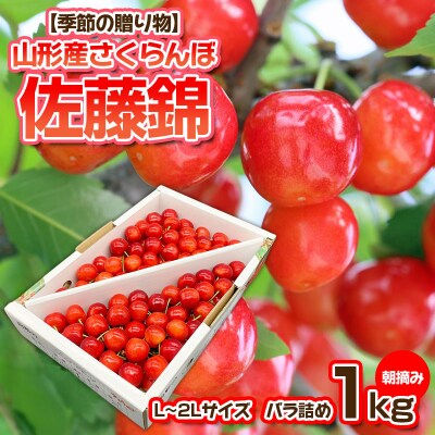 【季節の贈り物】さくらんぼ 佐藤錦 1kg バラ詰め 朝摘み【令和9年産先行予約】FS25-509