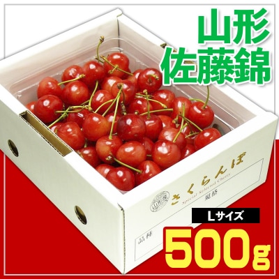 さくらんぼ  佐藤錦 Lサイズ 500g バラ 化粧箱詰【令和8年産先行予約】FS25-540