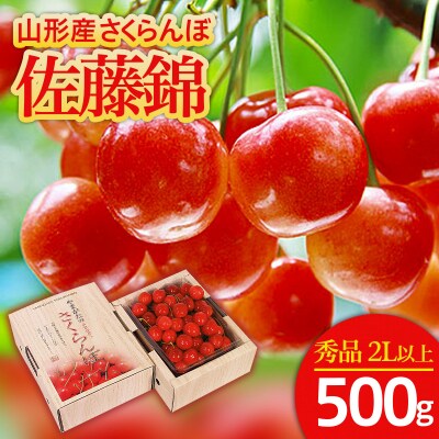 さくらんぼ 佐藤錦  ”希少な大粒” 2L以上 500g【令和9年産先行予約】FS25-564 