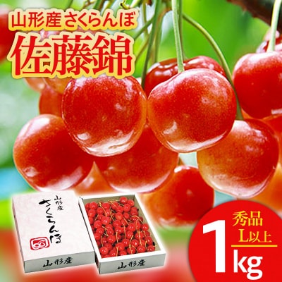 さくらんぼ 佐藤錦 L以上 1kg【令和9年産先行予約】FS25-563 