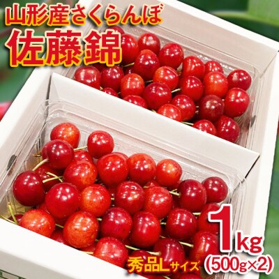 さくらんぼ 佐藤錦 Lサイズ 1kg(500g×2パック) 【令和9年産先行予約】FS25-571 